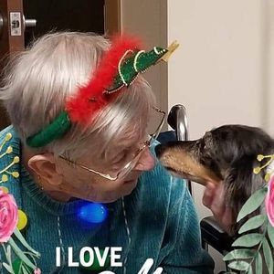 Meet your Posher, Jayme